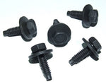 5/16" Body Bolt Set (RV1-CM)