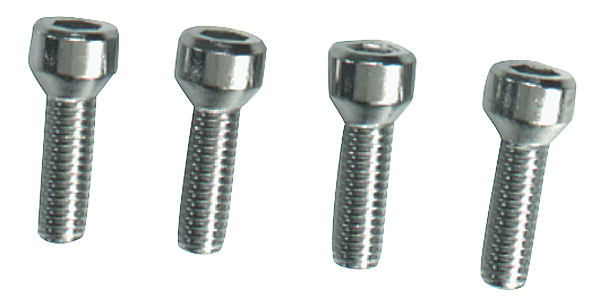 Door Handle/Window Winder Screw Set (AP5-CM)